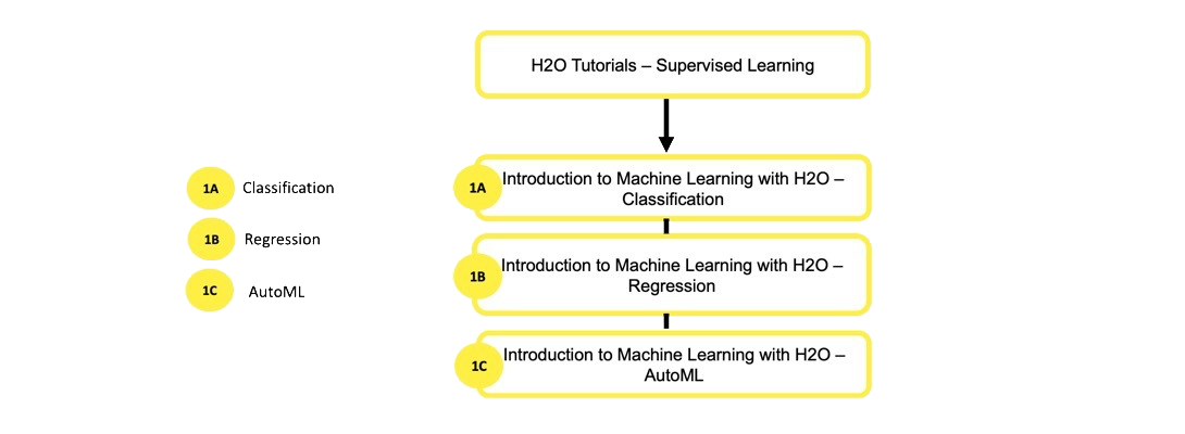 H2O Self-Paced Courses Learning Path